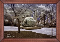 /album/fotogaleria-fotografia-infraroig/f-2-inpixio-640x480-jpg/